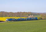 Desiro ML der ODEG als RE 9 vor Bergen auf Rügen.