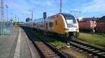 BR462 523-6 in Bahnhof Frankfurt(Oder), 19.05.2024