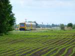 20.05.2013 - Zwei RegioShuttle der ODEG auf der RB60 bei Sietzing (Brandenburg).