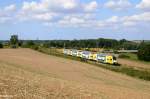 ODEG 445 106 aus Wismar kur vor dem nächsten Halt in Dorf Mecklenburg am 23.08.13