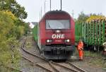 223 102-5 der OHE 270 081 mit Holzzug im Bf Euskirchen - 09.10.2013