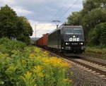 185 546-9 für OHE mit Containerzug in Fahrtrichtung Süden.