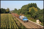 OHE 1460 ist hier am 8.9.2016 um 9.20 Uhr am Ortsrand von Hasbergen mit einem Leerzug zum Hafen in Osnabrück unterwegs, um Schrott für die Georgsmarienhütte zu holen.