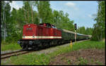 Die Diesellok 114 703-2 (PRESS) kommt am 21.05.2023 mit dem Sonderzug PTB 89422 Espenhain – Leipzig Hbf am Einfahrsignal des Bahnhofs Espenhain um die Kurve.