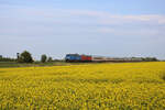 PRESS 218 448 (218 054-3) zieht mit einer DB 218 zusammen den IC 2347 in Richtung Westerland(Sylt) und erreicht hier gerade das Einfahrvorsignal des Betriebsbahnhofs Lehnshallig.