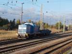 PRESS 293 021 hatte,am 12.Oktober 2014,von Putbus einen Niederbordwagen abgeholt,am Nachmittag fotografierte ich die Ausfahrt aus Bergen/Rügen nachdem Richtungswechsel in Richtung Festland.