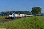 Am 03.09.2021 begegnete uns im Maintal bei Retzbach-Zellingen 186 421 (Rurtalbahn Cargo / RTB Cargo) auf dem Weg nach Süden.