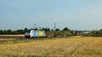 Railpool 186 295-2, vermietet an Lineas, mit Volvo-Logistikzug DGS 46253 Älmhult - Gent Zeehaven (Marl, NI, 14.07.2023).