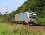 193 803-4 mit Containerzug in Fahrtrichtung Süden.