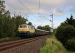 218 480-2 (Railsystems) fuhr am 02.06.18 einen Sonderzug von Schwarzenberg nach Saal an der Donau.