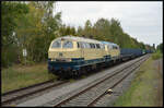 Railsystems RP 218 489-3 und 381-2 rollen am 06.10.2024 mit ihren Rungenwagen langsam in Bahnhof Ebenhausen/Unterfranken, um die Kreuzung mit einem Regionalexpress abzuwarten.