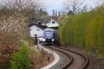 Regionalverkehr Start Alstom Coradia iLint Wasserstofftriebzug 554 103+554 xxx am 05.04.24 auf der Taunusbahn