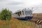 Ein Triebwagen der Rurtalbahn, welcher mittlerweile auf der Elbe-Heidebahn(Lutherstadt Wittenberg - Bad Schmiedeberg) eingesetzt wird, erreicht am 12.08.10 Pratau.