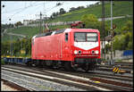 Salzland Rail Service GmbH (SRS) 143 020-6 mit DGS 99696 Köln Eifeltor - Passau am 23.09.2024 in Würzburg.