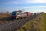 SBB Cargo International Siemens Vectron 193 457-9 mit KLV Zug bei Nieder-Mörlen in der Wetterau am 08.02.25