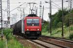 482 042 mit dem lpendel zurck nach Stendell am 15.08.09 am Abzwg Srg/Stralsund