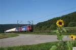 Zwei SBB Cargo Lokomotiven (vorne 421 378-1) ziehen an einem schnen Sptsommertag einen kurzen Gaskesselwagenzug. Aufgenommen kurz vor Karlstadt am 22. September 2010.