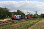 482 010 mit einem Containerzug am 24.08.2010 in Hamburg Unterelbe.