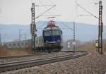 Ein weiteres nettes Schmankerl waren am 17.03.2013 die beiden 1142 578 und 1142 562, die einen Containerzug in Richtung Sden bespannten. Aufgenommen in Wehretal-Reichensachsen.