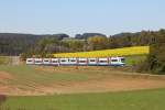 VT 113 und VT 110 der BOB bei einer Sonderfahrt von Amberg nach Schnaittenbach am 15.10.2011 bei Gebenbach.