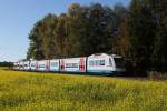 VT 113 und VT 110 der BOB bei einer Sonderfahrt von Amberg nach Schnaittenbach am 15.10.2011 kurz vor Hirschau.