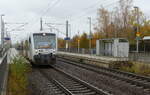 MRB VT 015 (95 80 0650 547-2 D-TDRO) als RB 27730 von Leipzig Hbf nach Döbeln Hbf, am 05.11.2021 in Leipzig-Engelsdorf.