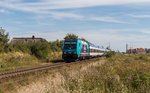 245 211 der NOB mit einem RE bei Keitum (Sylt), aufgenommen am 31.