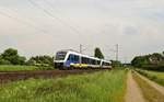 LNVG 648 185/685 und 648 186/686, vermietet an NWB (VT 648 185 und VT 648 186), als RB 77 (82975)  Weser-Bahn  Löhne (Westf) - Hildesheim Hbf (Burgstemmen, 23.05.17).