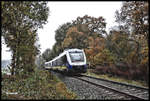 Im Wald bei Lotte - Halen ist hier der NWB VT 648372 am 7.11.2017 um 11.45 Uhr nach Bremen unterwegs.