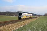 643 302 NWB (10 Jahre Haller Willem) als RB 85 von Göttingen nach Paderborn bei Lenglern am 16.02.2018