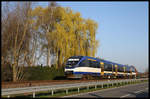 In Sonderlackierung ist hier am 30.3.2019 um 07.43 Uhr der Nordwestbahn VT 643119 auf dem Haller Willem bei Malbergen nach Brackwede unterwegs. 