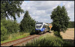 NWB VT 643306 hat hier am 29.07.2020 um 10.57 Uhr pünktlich den Kreuzungsbahnhof Wellendorf verlassen und fährt hier in die Steigung am Teutoburger Wald zwischen Wellendorf und Hilter in Richtung Bielefeld.