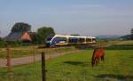 Nord West Bahn VT 643127 nach Bielefeld trifft um 7.49 Uhr das  weidende  EK Pferdchen  bei Wellendorf!