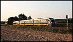 Eine Doppeleinheit mit dem Führungsfahrzeug VT 643313 erreicht hier auf dem Weg nach Osnabrück im Morgenlicht Wellendorf um 08.02 Uhr.