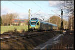 Nordwestbahn ET 015 auf der RB 66 am Ortsrand von Hasbergen am 5.1.2017 um 13.25 Uhr auf dem Weg nach Münster.