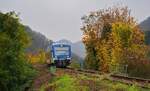 Von den Höhen des Hunsrück kommend erreicht der Trans Regio-650 351 am 09.11.2024 Boppard.