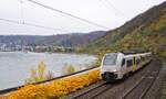 Am 16.11.2024 hat der Transregio-460 002-9 mit einem RE 26 Boppard verlassen und fährt am Rhein entlang in Richtung Koblenz