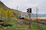 Auf dem Weg von Koblenz nach Mainz passiert der 460 508-5 von Transregio einen Bahnübergang am Bopparder Hamm