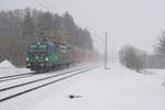 193 252 von ELL/TXL mit einem KLV-Zug bei Postbauer-Heng Richtung Nürnberg, 03.02.2019