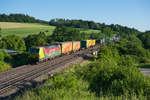 193 557  Our daily heroes  von TXL mit einem KLV-Zug bei Otting-Weilheim Richtung Treuchtlingen, 28.06.2019