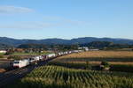 186 902 i.A für TX Logistik mit einem Transporterzug nach Lahr am 03.09.2020 bei Kollmarsreute.