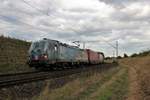 ELLorean TX Logistik Siemens Vectron 193 282-1 mit KLV in Hanau Rauschwald am 26.08.20