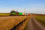 193 275 ELL/TXL  We love to connect  mit DGS 43160 (Wolfurt - Dradenau) bei Oberdachstetten, 29.03.2021