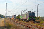 Mit einem KLV-Zug aus dem Rostocker Hafen rollt 193 275 der TX Logistik am 18.09.24 durch Saarmund Richtung Schönefeld.