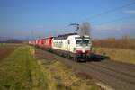 TX Logistik Siemens Vectron 193 596-4 mit KLV Zug bei Nieder-Mörlen auf der Main Weser Bahn am 08.02.25