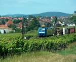 TX Logistik 185 518-8  transped  mit dem FIR 51365 von Gremberg nach Nrnberg Rbf, bei Hattenheim; 26.06.2008