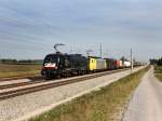 Die ES 64 U2-033, die ES 64 F4-009 und die ES 64 F4-105 mit einem KLV-Zug am 24.09.2011 unterwegs bei Hattenhofen.