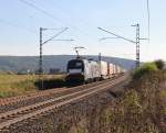 182 512 (ES 64 U2-012) mit KLV-Zug in Fahrtrichtung Norden.