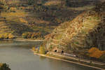 Das herbstliche Rheintal bei Oberwesel.