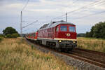 Die Rücktour der WFL Sonderfahrt vom Ostseebad Binz nach Potsdam Hbf mit 232 601 & 232 535. Trotz geringer Auslastung hatte WFL alle 3 Sonderzüge dieses Jahr nach Binz fahren lassen. Großen Respekt dafür. Ich kann nur hoffen, dass es im nächsten Jahr besser läuft. Aufgenommen am 20.08.2022 bei Samtens.
